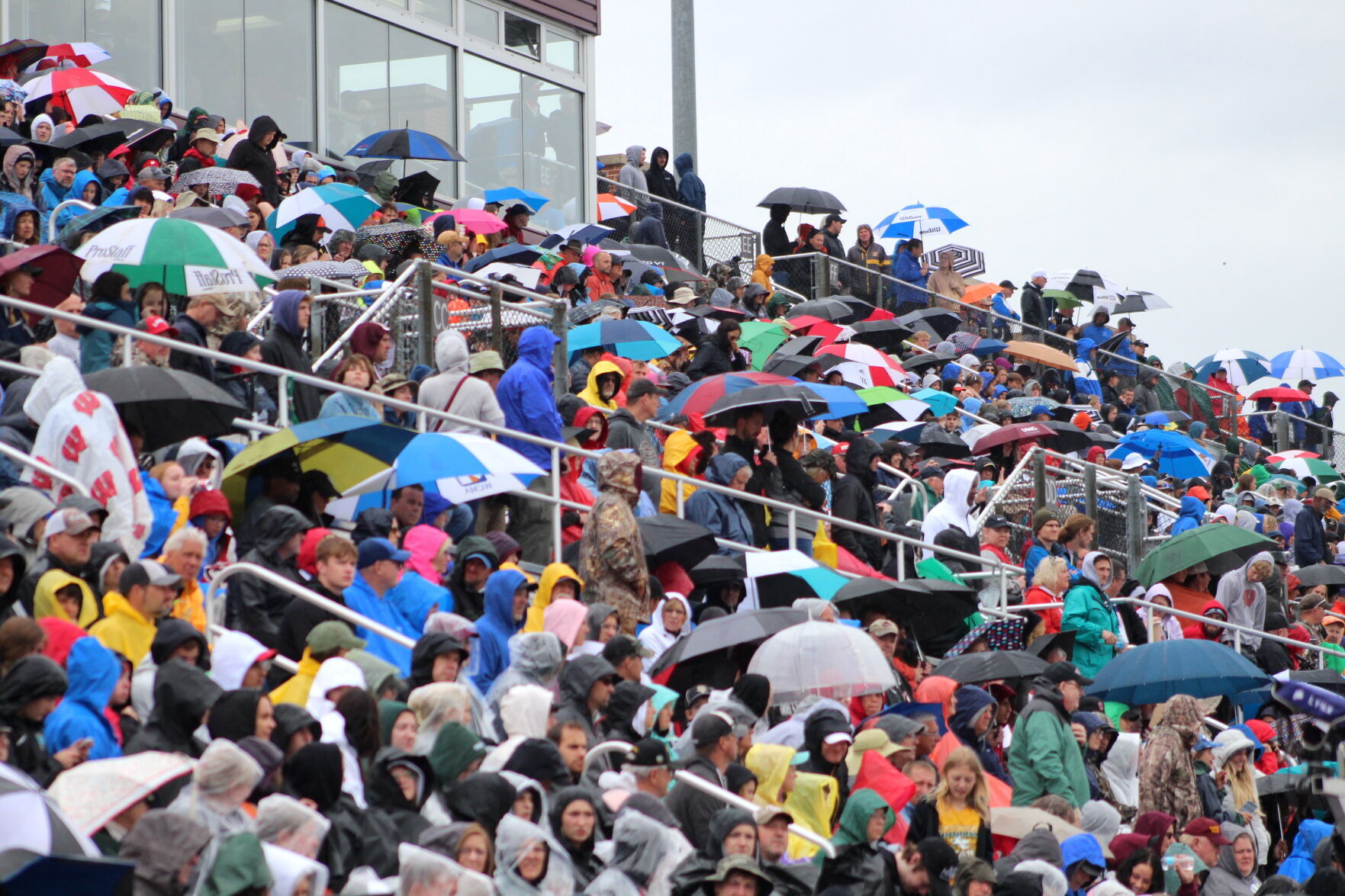 Umbrellas